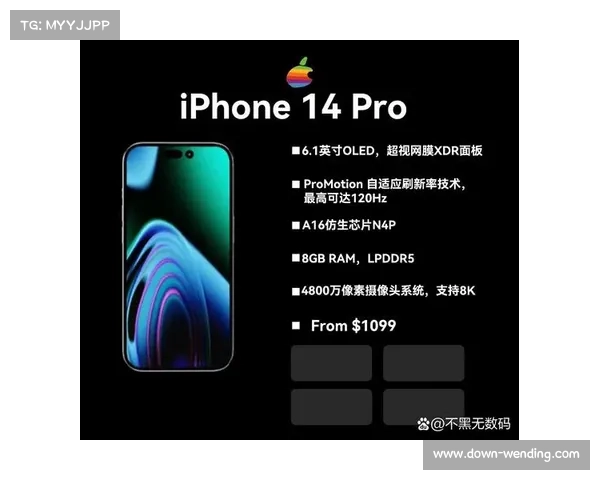 灰熊欧洲赛成本效益分析揭示品牌曝光度提升40%的潜力 灰熊欧洲赛成本效益分析揭示品牌曝光度提升40%的潜力